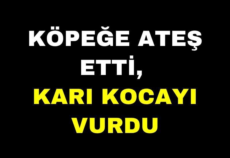Köpeğe ateş etti, karı kocayı vurdu