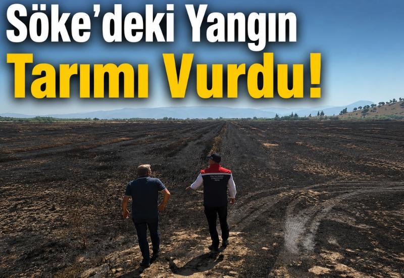 Söke'deki yangın tarımı vurdu!