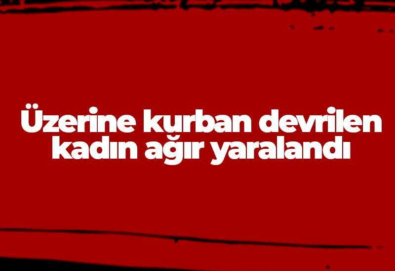 Üzerine kurban devrilen kadın ağır yaralandı