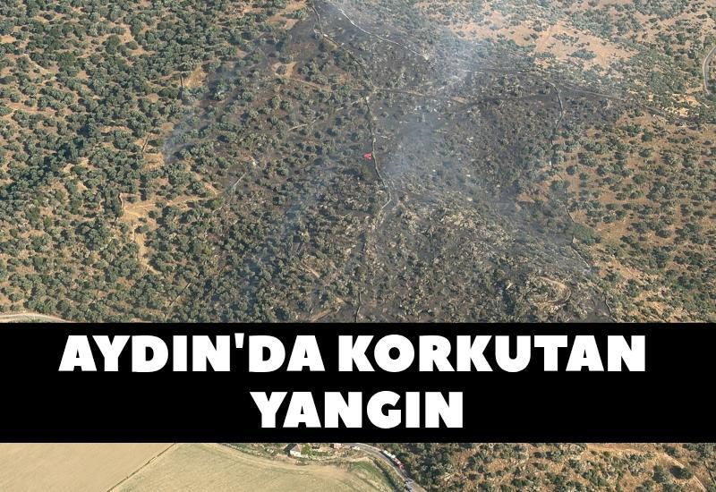 Aydın'da korkutan yangın