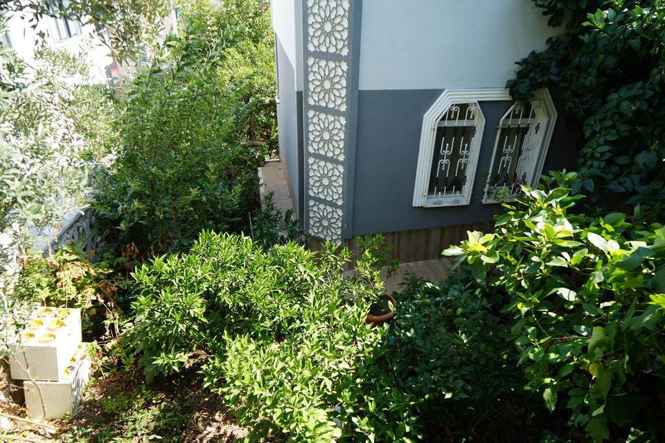 DÜNYA MEYVELERİ BU BAHÇEDE 50 ÜLKEDEN 200 ÇEŞİT MEYVE İLE KURDUĞU TROPİKAL BAHÇEDE PİYASADA OLMAYAN ÜRÜNLER MEVCUT