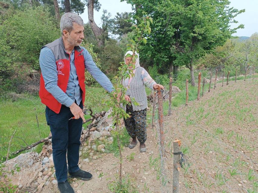 Muğla'da kapsamlı tarımsal takip