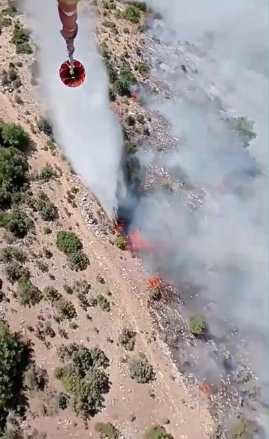 Kiraz’da orman yangını