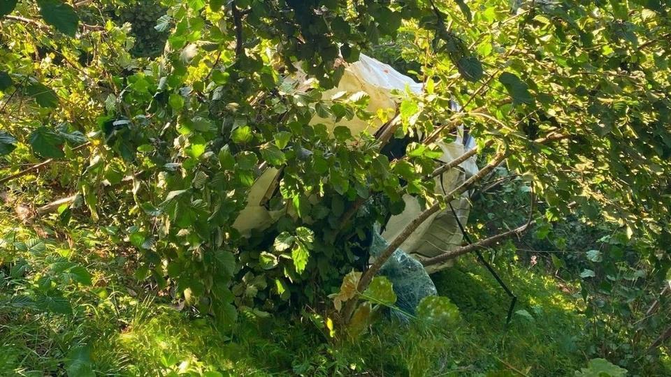 Kamyonet bahçeye devrildi: 1 ölü