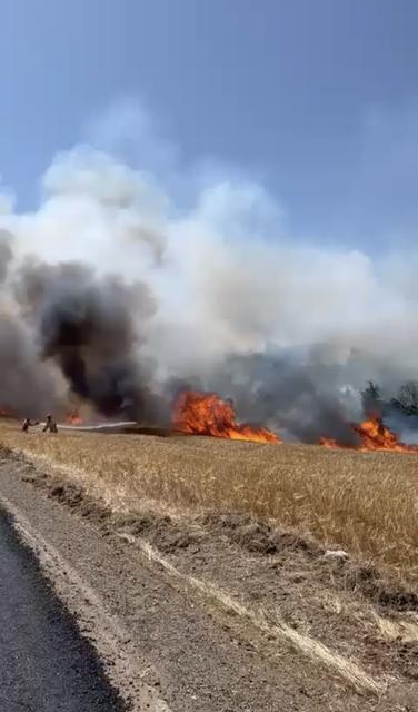 ÇANAKKALE'DE TARIM ARAZİSİNDE YANGIN ÇIKTI