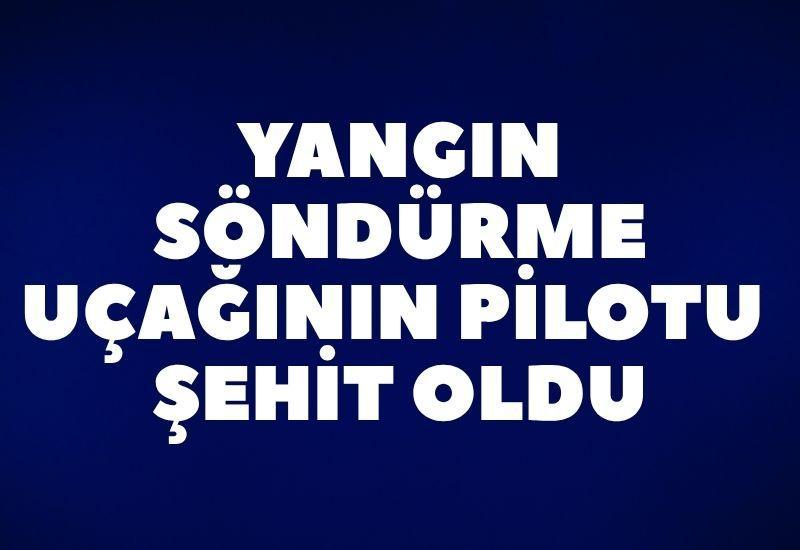 Yangın söndürme uçağının pilotu şehit oldu