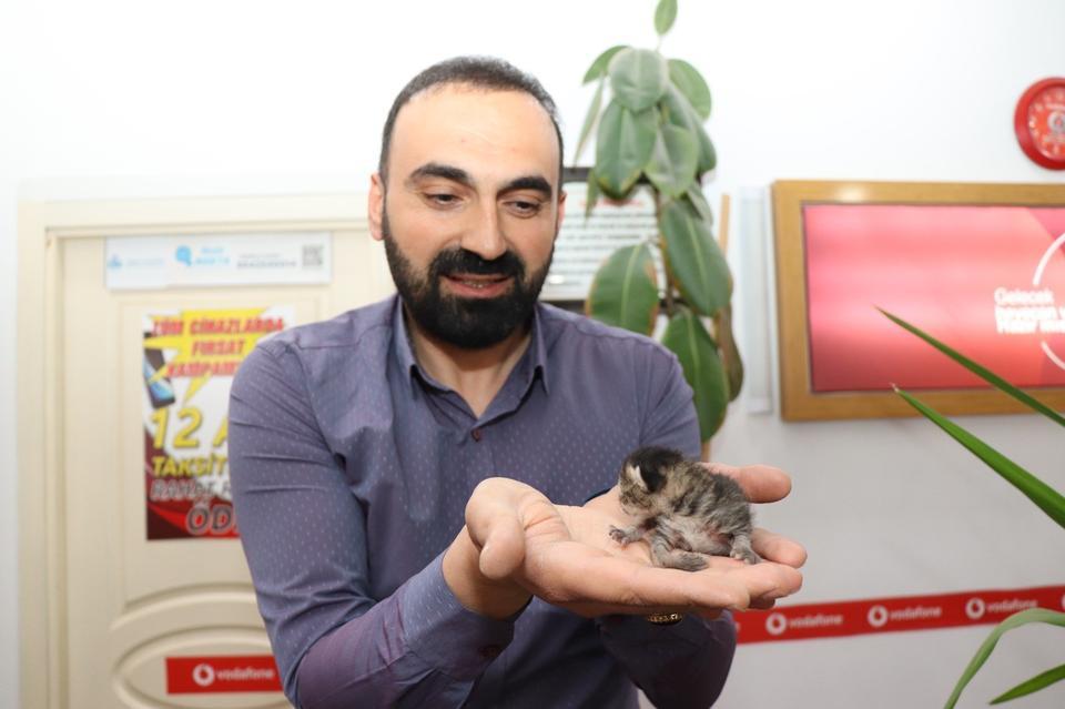 ANNE KEDİ YAVRUSUNU ÇEKMECEDE DOĞURDU ESNAF MİNİK KEDİ YAVRUSUNA "ÇEKMECE" İSMİNİ VERDİ