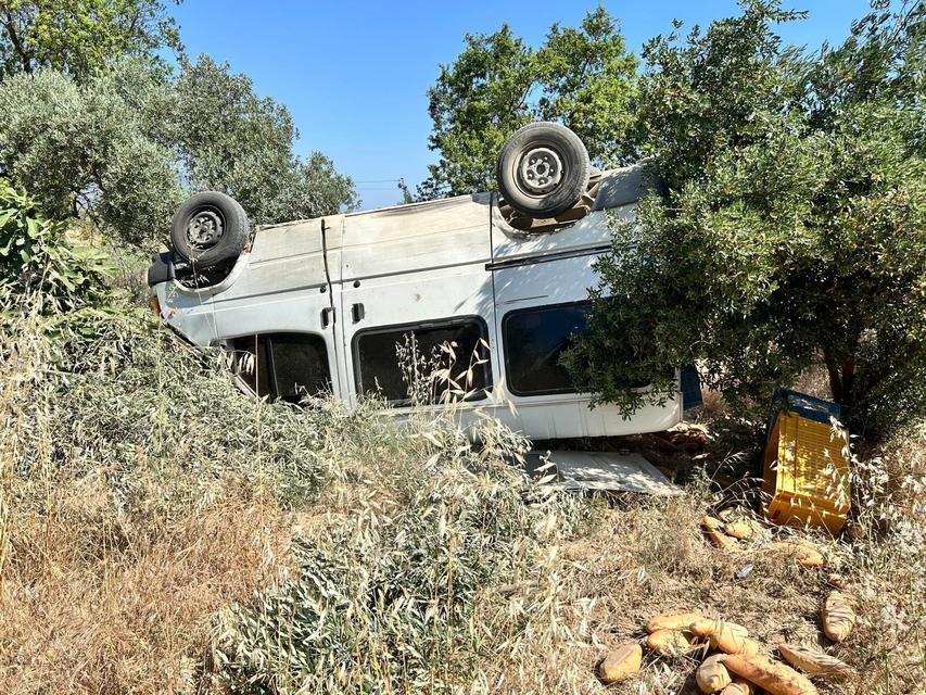 TİCARİ ARAÇ ZEYTİNLİĞE UÇTU: 1 ÖLÜ