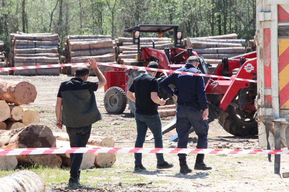 Tonlarca tomruk üzerine devrilen işçi hayatını kaybetti