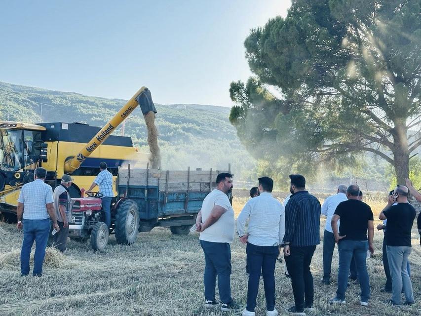 Menteşe’de buğday hasadında sona yaklaşıldı