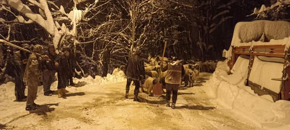 Koyunlarını otlatırken çığın altında kalan çoban feci şekilde can verdi