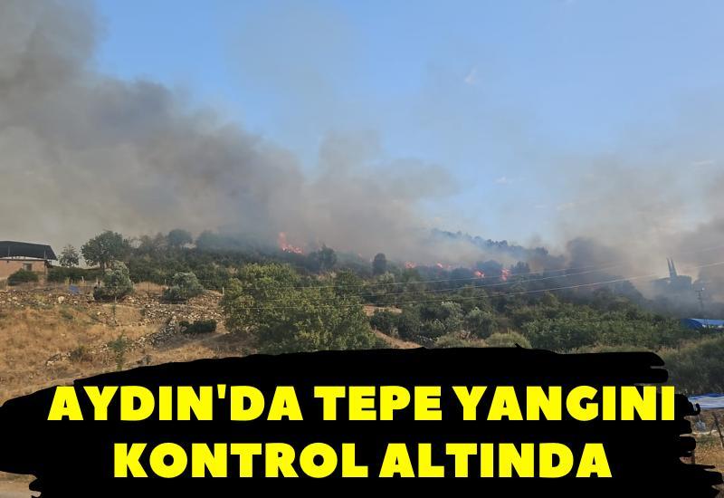 Aydın'da tepe yangını kontrol altında