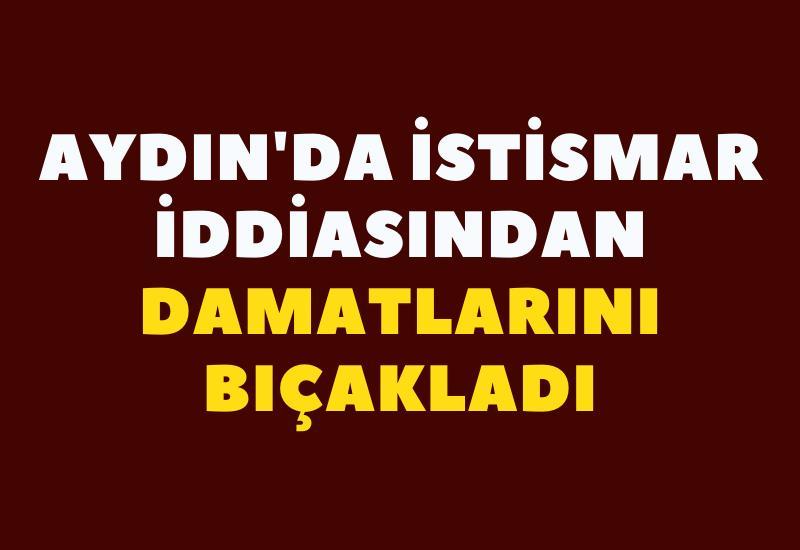Aydın'da istismar iddiasından damatlarını bıçakladı
