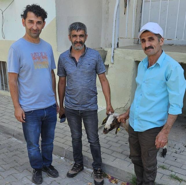 Aydın'da kapılara toslayan kuzunun sırrı kulak küpesiyle çözüldü