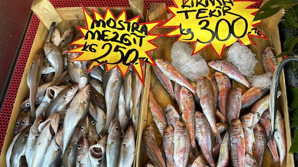 FIRTINANIN ARDINDAN BALIK TEZGAHLARINDA SON DURUM