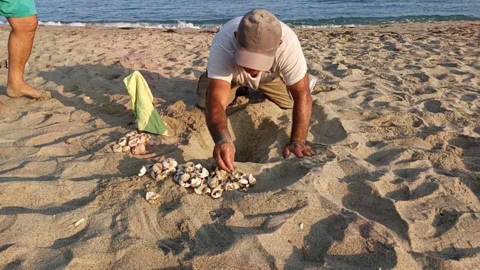 Kuşadası’nda caretta sürprizi