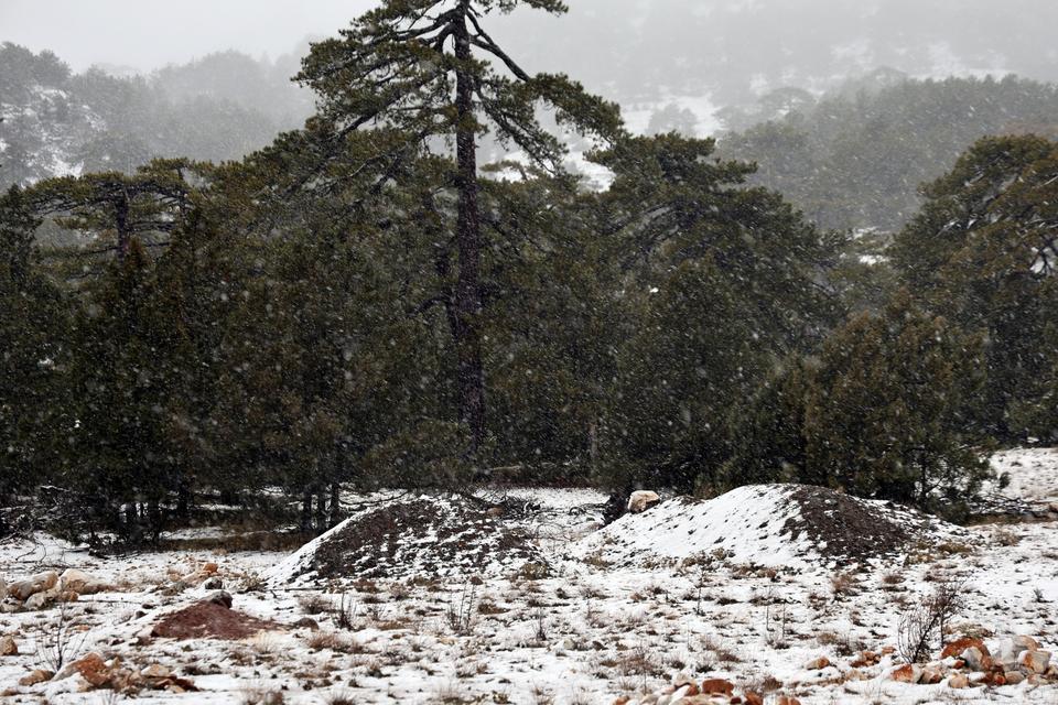 MUĞLA'NIN YÜKSEK KESİMLERİNDE KAR YAĞIŞI ETKİLİ OLMAYA BAŞLADI