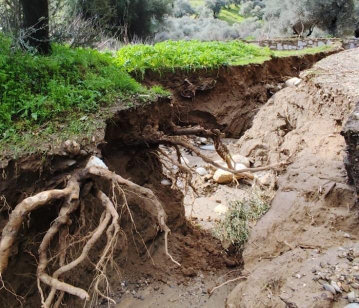 DERE SULARI YÖN DEĞİŞTİRDİ, ZEYTİNLİKTE İKİNCİ YATAK OLUŞTU ZEYTİNLİKTE İKİ İNSAN BOYU YARIKLAR OLUŞTU