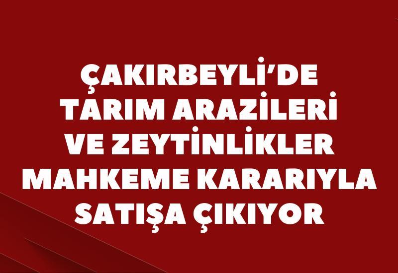 Çakırbeyli'de tarım arazileri ve zeytinlikler mahkeme kararıyla satışa çıkıyor