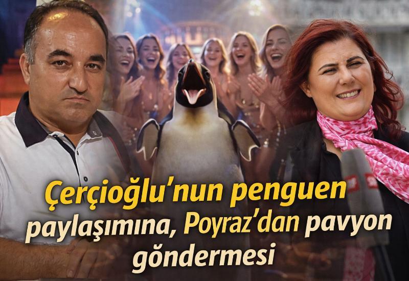 Çerçioğlu’nun penguen paylaşımına, Poyraz'dan pavyon göndermesi