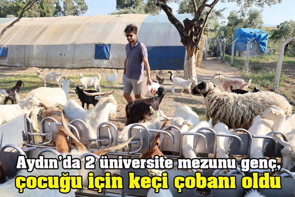 Aydın’da 2 üniversite mezunu genç, çocuğu için keçi çobanı oldu