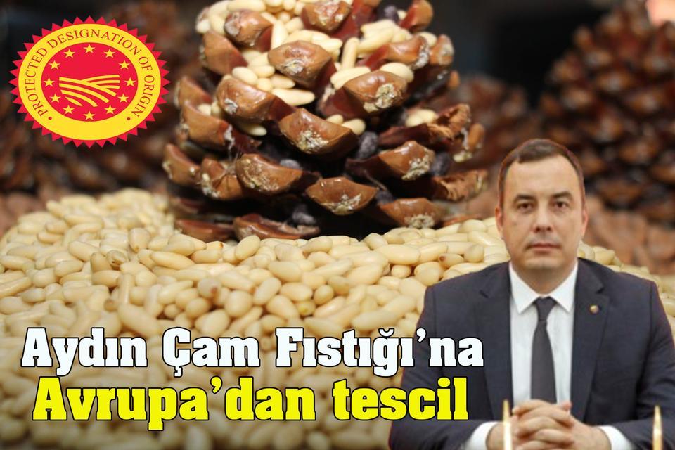 Aydın Çam Fıstığı’na Avrupa’dan tescil