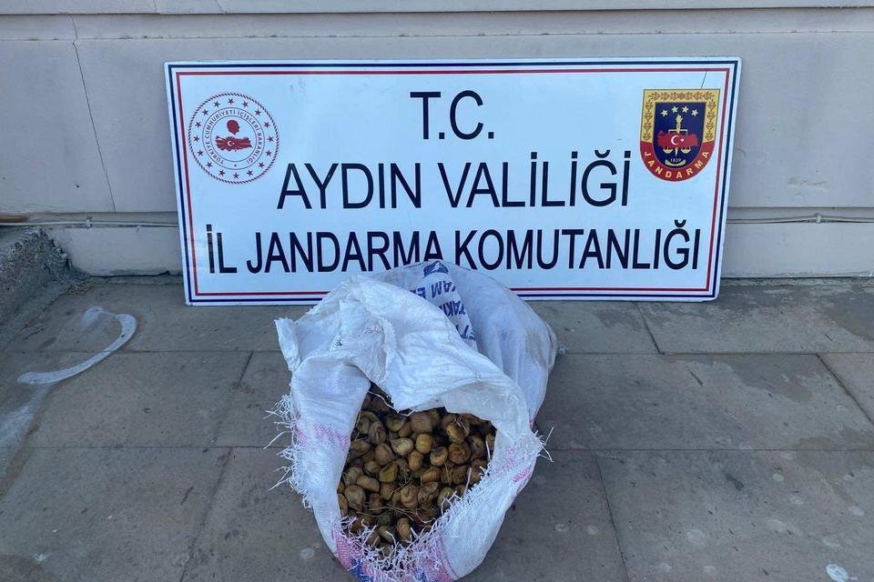 Aydın’da 50 kilo incir çalan şüpheliler yakalandı