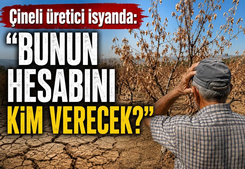 Çineli üretici isyanda: “Bunun hesabını kim verecek?”