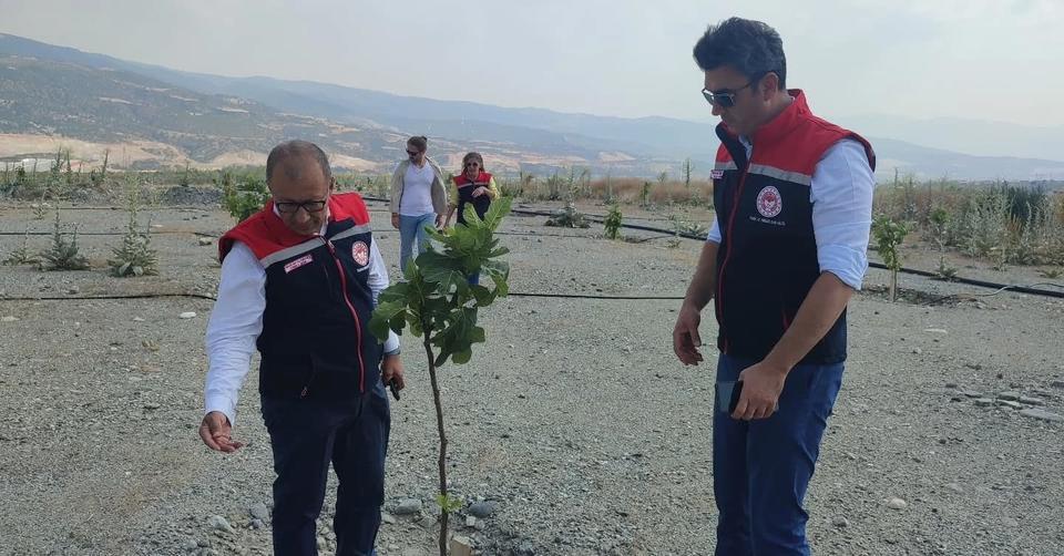 Aydın’da incire kalite katacak projeye yerinde denetim