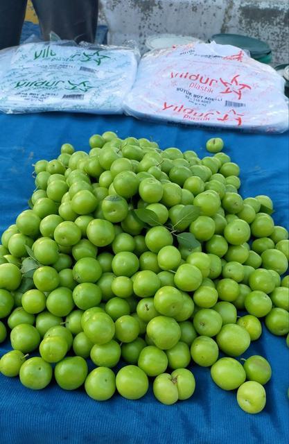 VAZGEÇİLMEZ YAZ MEYVESİ ERİK TEZGAHLARDA YERİNİ ALDI KİLOSU 150 TL'DEN ALICI BULUYOR