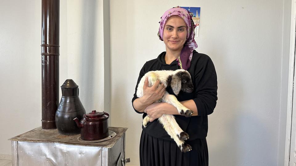 ANNESİZ KALAN KUZU AİLENİN 'UMUT'U OLDU ANNESİZ KUZUYU EV ORTAMINDA BEBEK ŞAMPUANIYLA YIKAYIP BİBERONLA BESLİYORLAR