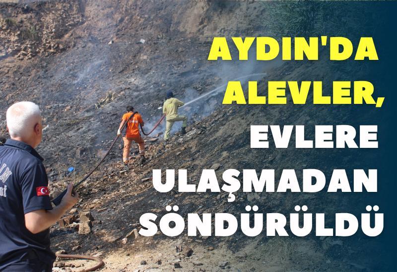 Aydın'da alevler, evlere ulaşmadan söndürüldü
