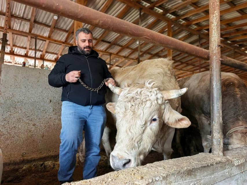 Tonluk 'Paşa' 500 bin lira