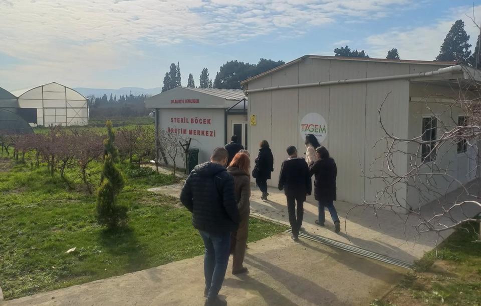 Aydın tarımında zararlılara karşı 2026 seferberliği