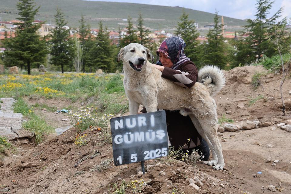 'GARİP'İN VEFASI: ÖLEN SAHİBİNİN MEZARINDAN AYRILMIYOR