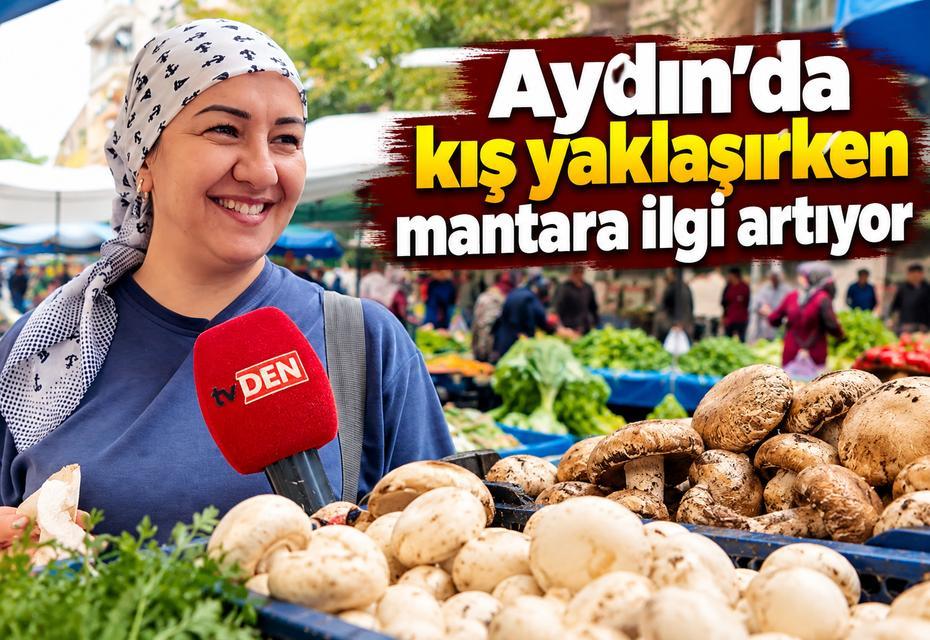 Aydın’da kış yaklaşırken mantara ilgi artıyor