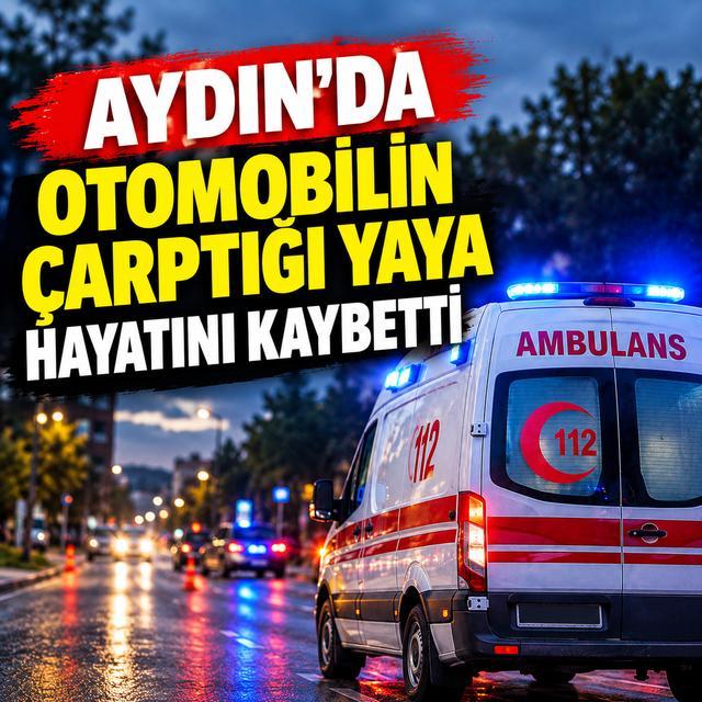 Aydın’da feci kaza: Otomobilin çarptığı yaya hayatını kaybetti