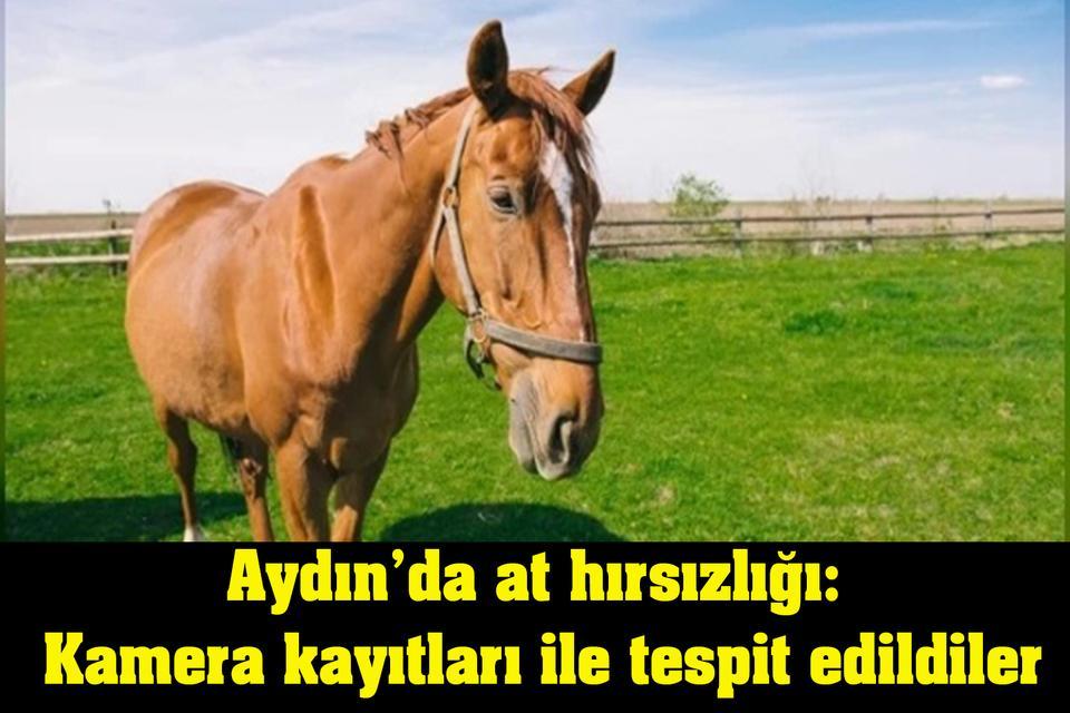Aydın’da at hırsızlığı: Kamera kayıtları ile tespit edildiler