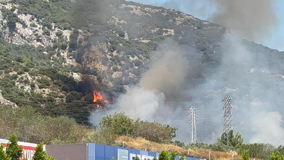 Bodrum'da makilik ve ormanlık alan alevlere teslim oldu