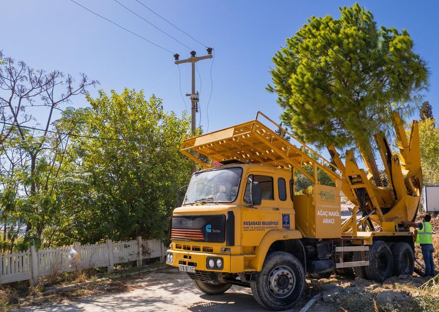 Şantiye sahasındaki 30 palmiye, 43 çam, 27 zeytin, 7 dut ve 3 badem ağacı ile 25 yuka ve 5 zakkum bitkisi Kuşadası Belediyesi Ağaç Nakil araçları ile bölgenin ekosistemini koruyacak şekilde taşınarak yeni yaşam alanlarına dikildi