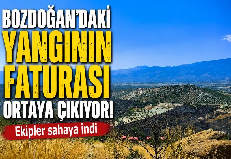 Bozdoğan'daki yangının faturası ortaya çıkıyor! Ekipler sahaya indi