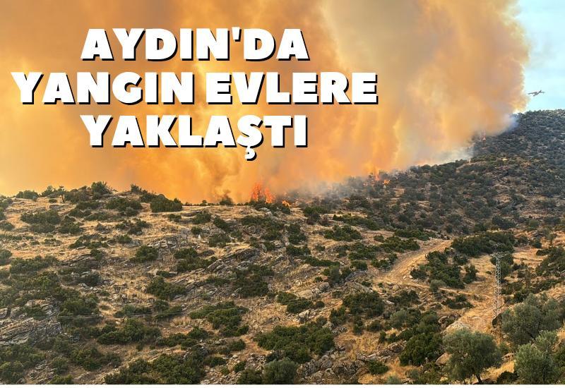 Aydın'da yangın evlere yaklaştı