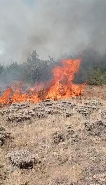 Çobanın yaktığı ateş yangına sebep oldu