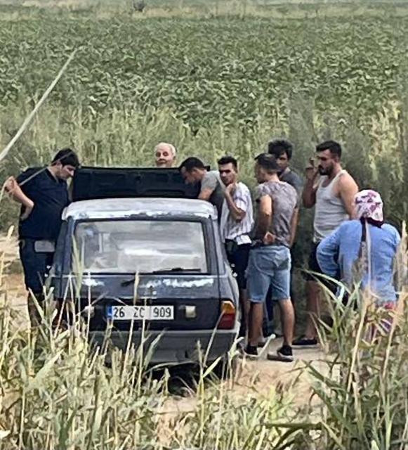 Aydın'da araç sazlık alana uçtu