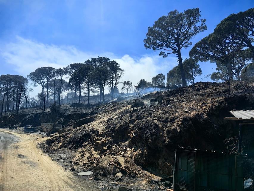 BOZDOĞAN'DA HASAR TESPİT ÇALIŞMALARI BAŞLADI
