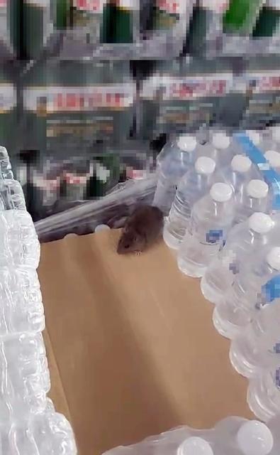 BİM'DEKİ FARE GÖRÜNTÜSÜNÜ ÇEKEN VATANDAŞ KONUŞTU SELÇUK ÖNER: "BUNDAN SONRA O MARKETE GİTMEYİ DÜŞÜNMÜYORUM"
