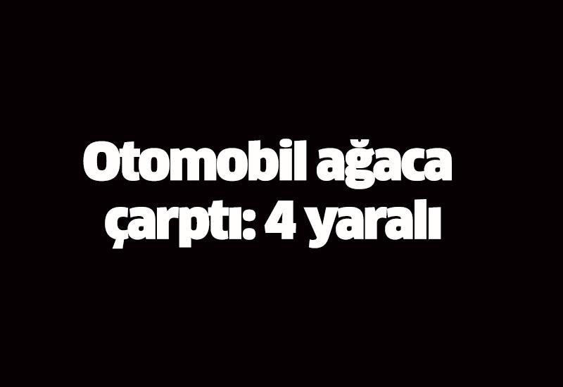 Otomobil ağaca çarptı: 4 yaralı
