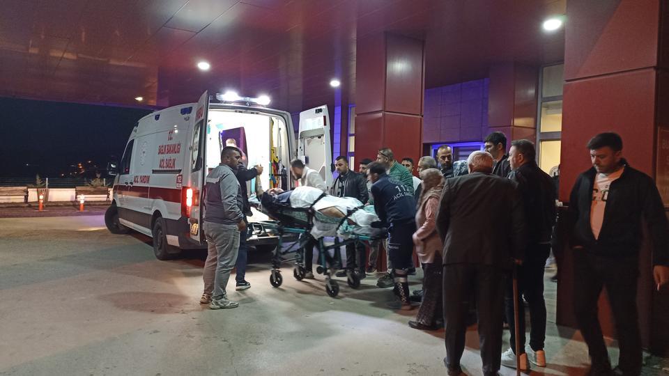Ağabeyini tüfekle vurdu