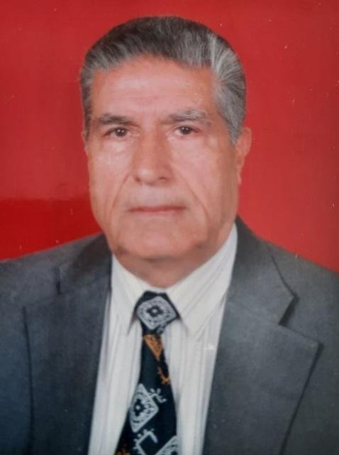 Cumhuriyetle yaşıt çınar hayatını kaybetti
