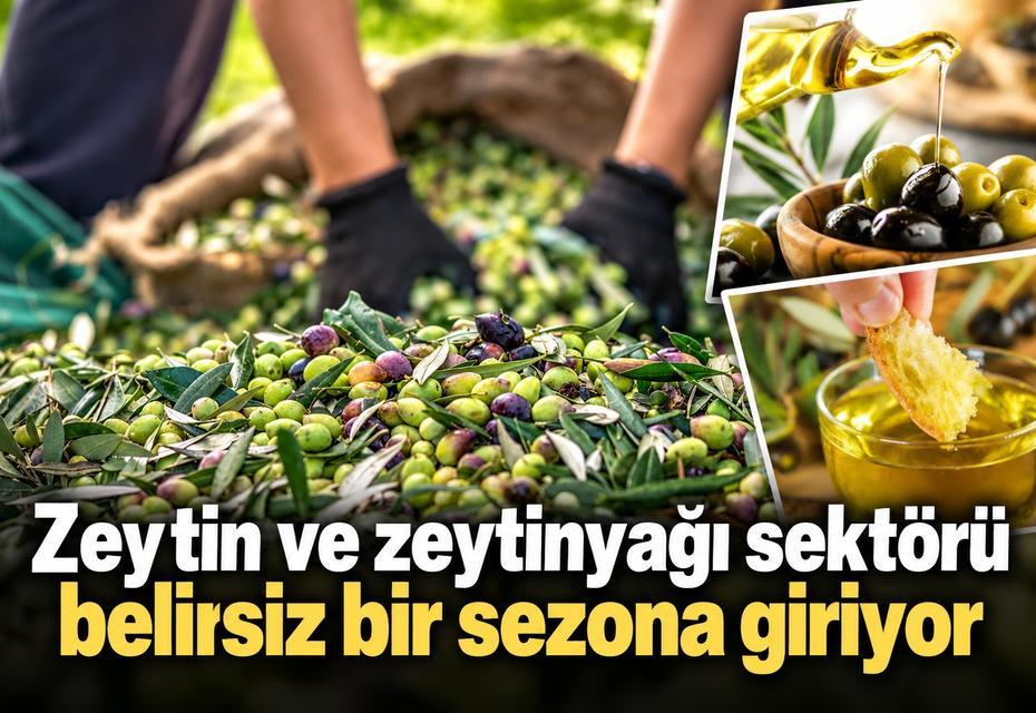 Zeytin ve zeytinyağı sektörü belirsiz bir sezona giriyor